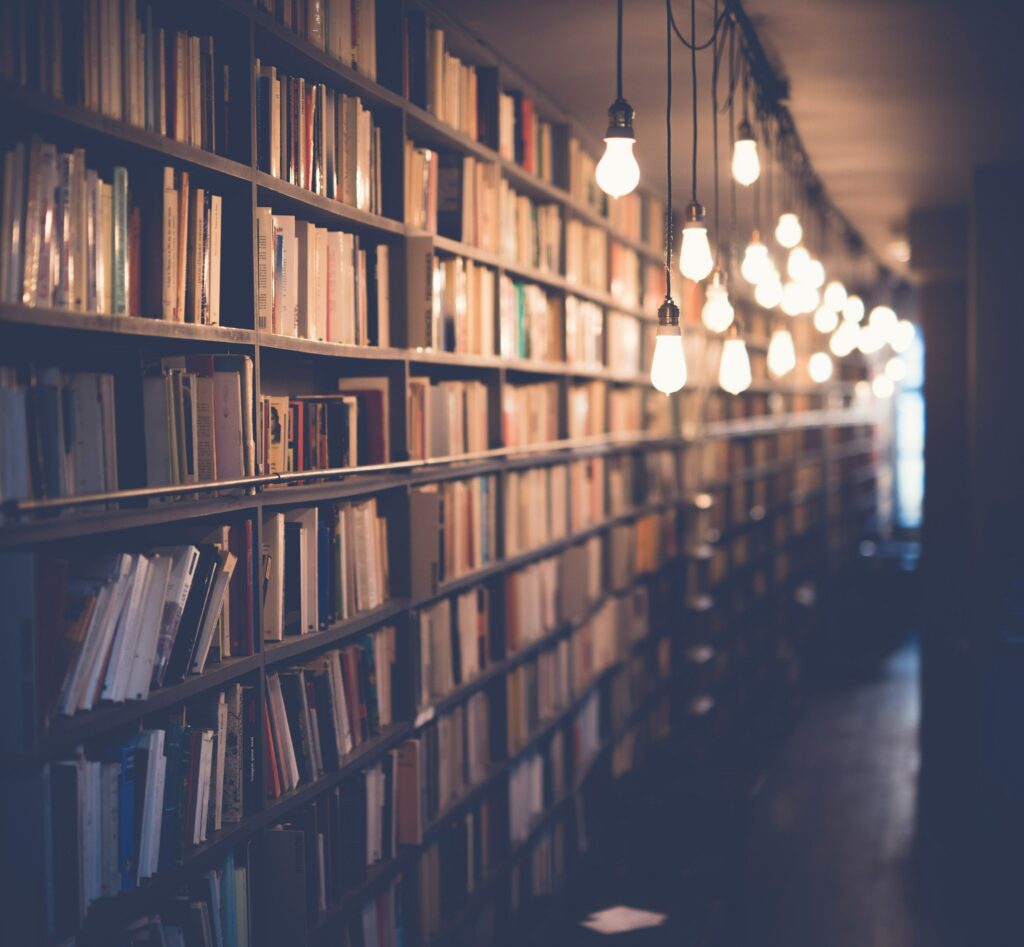 bibliotheque_penombre