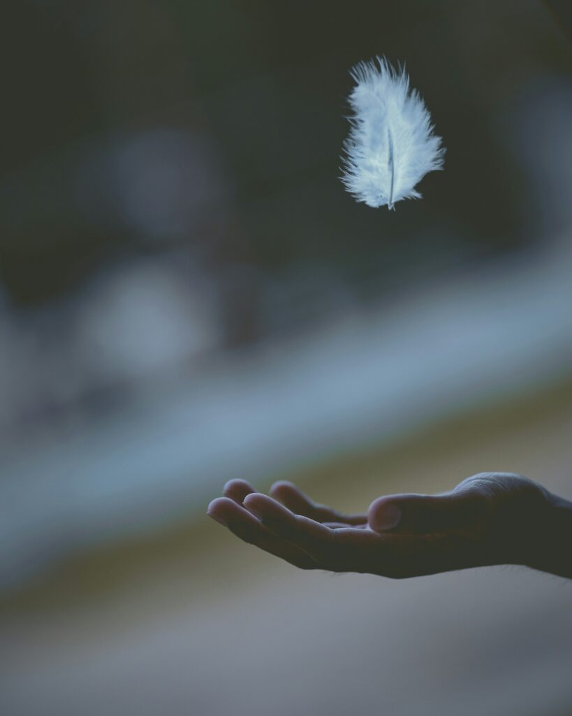 plume qui vole au dessus d'une main
